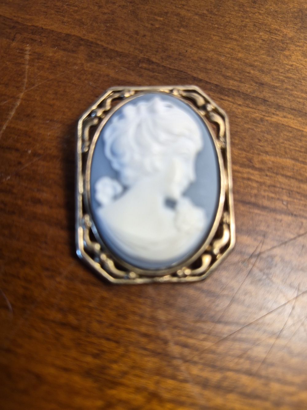 Vintage White & Davis Blue and White Cameo Brooch with Gold-Tone Frame